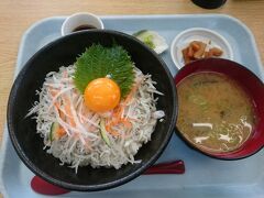 朝ごはんも食べずに出て来たので、
お腹も空き～西湘ＰＡにて。

釜揚げしらす丼を食べました！