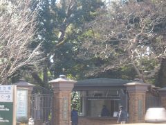 駅前には学習院大学が広がり､しばらく歩くと…