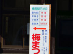 JR伊東線来宮駅前の熱海梅園の開花状況です。
遅咲き以外は“見頃”になっています。