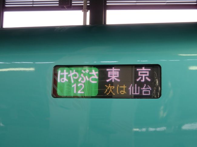 新青森からは東北新幹線で盛岡に向かいました。