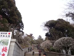 成田山公園の梅林では梅まつりを開催していました。
規模は小さく人もあまりいませんでした。
