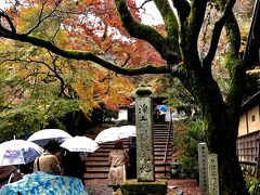 今日最後の参拝は、霊鑑寺から徒歩で行ける『 安楽寺 』にしました。
勿論、Aちゃんの提案です。
こちらも、年に2回、春と秋にしか一般公開はしないため、貴重な参拝となりました。