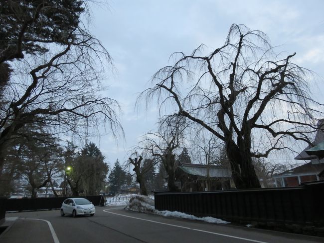 屋敷の間には桜がたくさんありました。<br />春にはきれいでしょうね。