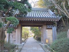 最後は報国寺

山門から入って行く。