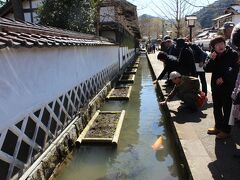 掘割で泳ぐ錦鯉で知られる殿町通りを散策。殿町通りは城下町の面影を色濃く残す津和野を代表するメインストリート。
森鴎外が学んだ藩校の養命館もこの通りにある。

津和野では土産物屋の店員のお姉さんが面白おかしく絶妙に観光ガイドをしてくれました。