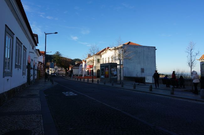 余裕を持ってバスの20分前には来たので、並んでいるのは10人程度。ただその後どんどん人が来て、最終的には50人以上並んでいました。結局全員は乗れず次のバス(多分20分後)に乗ることに。<br /><br />閑散期の12月ですらこの状態なので、夏とかはもっとひどいと思うので余裕を持って来る方がいいと思います。