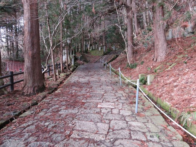 一気に山の雰囲気になりました。