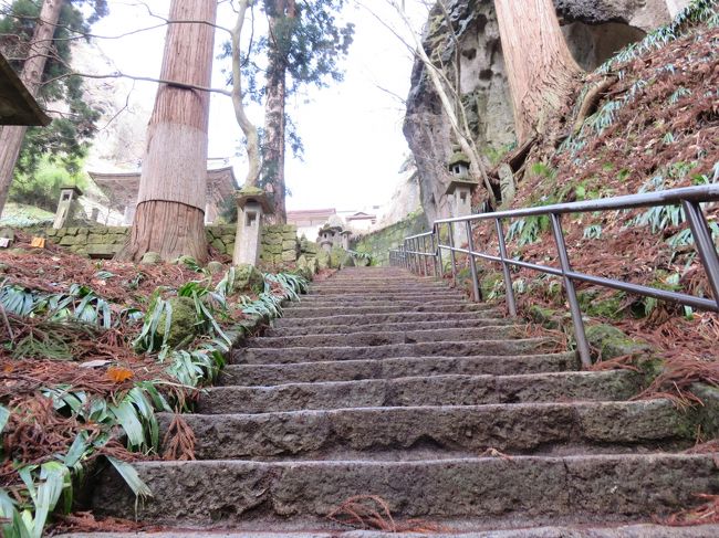 山林を抜けて明るくなってきました。