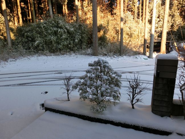 前日の天気予報では晴れだったのに、起きてみたら雪が降っていました。高速道路は一部通行止め。予約していた高速バスは運行するとのことでしたが、乗車するバス停は迂回して通過してしまう為バスに乗れず、急遽電車で成田空港まで行くことに。<br /><br />払い戻しの方法について電話で確認を取るも全く繋がらず。10分程かけ続けてやっと繋がるも折り返し連絡するとのこと。結局自宅を出るまでに電話はかかって来ず、親に任せて駅へ向かいました。