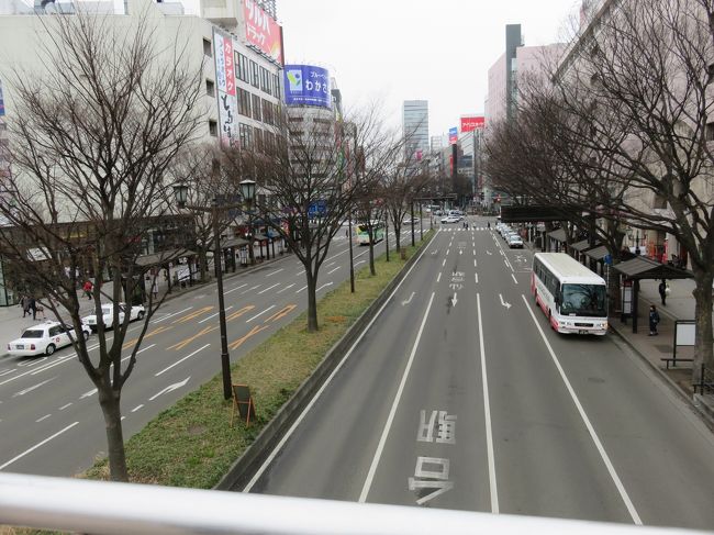 街路樹ある街並みが杜の都の雰囲気を出しています。<br />駅の周りにはアーケード街もあり栄えていて、<br />個人的には、住みやすそうな街という印象です。