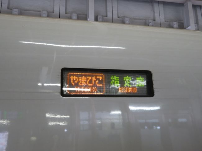 東北新幹線やまびこで福島へ向かいました。