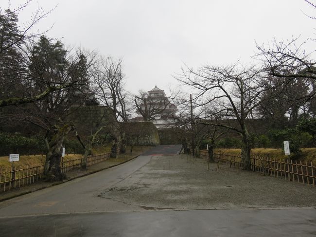 すぐに天守が見えてきます。