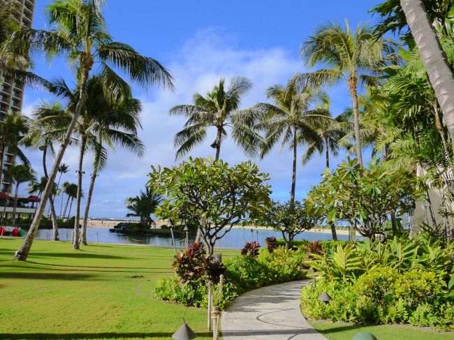 すっかり明るくなり、暑くなってきました