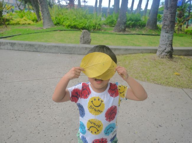 こんな形の葉っぱを拾って、<br /><br /><br />いないいなーい！