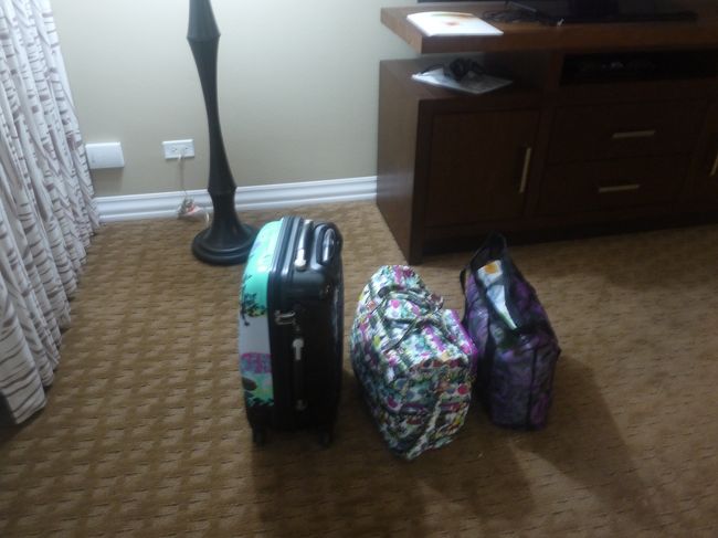 最後にお土産を増やしてしまったので重量が気になり、手荷物が１個増えました（１番右）<br /><br />この３つと大型スーツケース１台で帰ります<br /><br /><br />最後の夜、子供達を寝かせてからようやくまとまりました・・・<br /><br /><br />早く寝なきゃ・・・