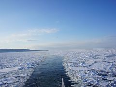 観光船に乗船。
にゃーん！流氷！