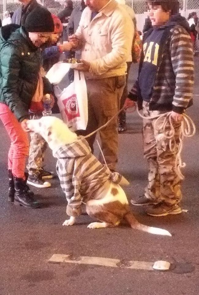 念願の海外年越し 2014 2015カウントダウンinラスベガス 2日目後編