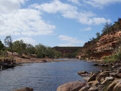 カルバリは Kalbarri National Parkに囲まれており、内陸に入るとご覧の様な自然に囲まれています。写真は Ross Grahamポイントから Murchison Riverへ降りたところ。唯一見た水のある貴重な川です。泳いだりして大自然を独占できます。
