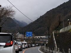 三枚橋の手前から箱根湯本駅前はノロノロ運転。湯本富士屋ホテル周辺の河津桜が見頃を迎えている。