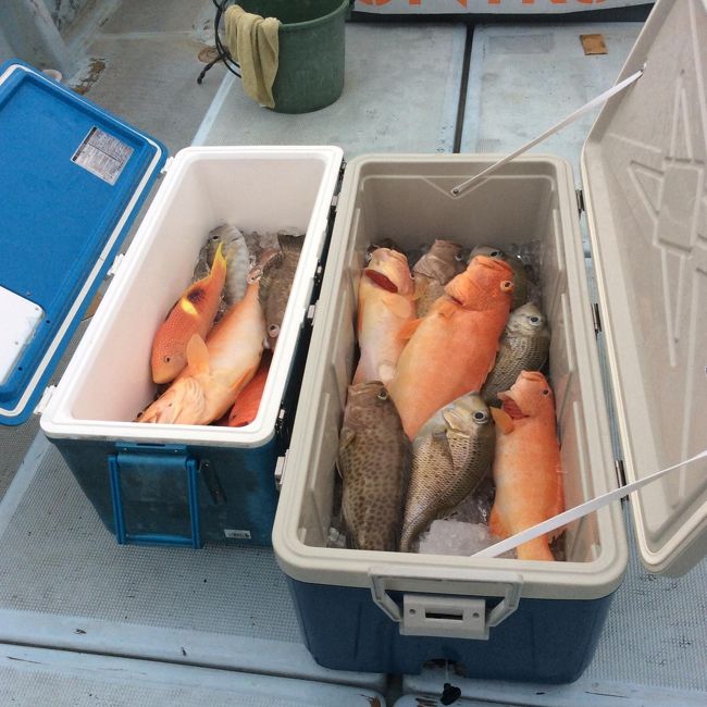 電動リールが止まるようなあたりも❗