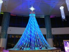 『AQUA XMAS 2016』のクリスマスツリーを見ることに。
『深海のクリスマス』がテーマということで、天井からはクラゲも光っている。

確かに。
・・・・。

取りあえず、外へ。