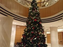 １つ見たら他のツリーも見たくなった(笑)

さすがヒルトン！！！
こちらも立派なクリスマスツリー。
プレゼントも置いて本格的。

しかも、天井の吹き抜けに計算されたツリーの高さ。
見事！！！