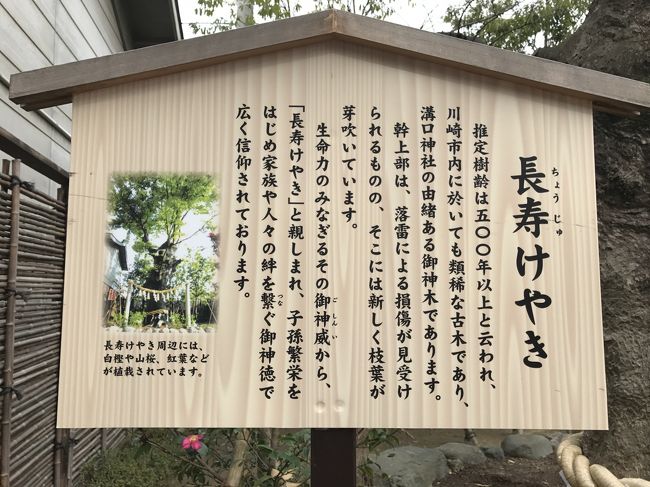 子孫繁栄・・・。