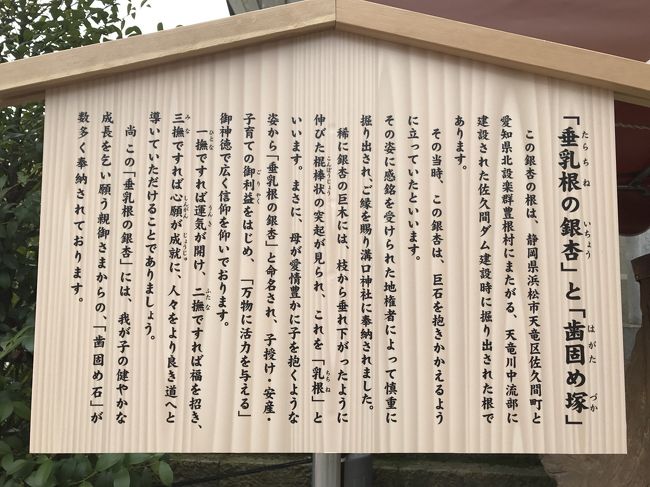 銀杏の根だそうです。まわりに奉納されているのは歯固め石だって。ふーん。