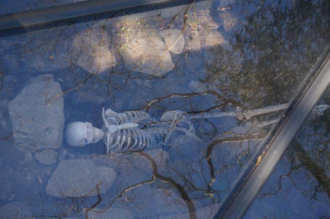 城跡までの途中には写真のようなミイラが埋葬されてました。<br />ただあまりにも綺麗すぎて、作り物感が半端なくてちょっと笑っちゃいました。