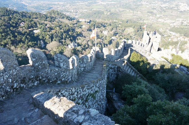 こんな階段を10分程登ります。足腰に不安がある人は避けたほうがいいかも。