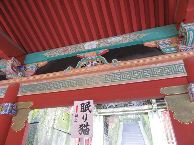 拝殿へ向かう東回廊には眠り猫があります。