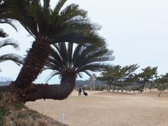 駐車場には「館山カントリークラブ」が隣接しています。
椰子やソテツなどが植えられ、南国ムードたっぷりのコースですね。

３０年以上前にプレーした記憶が薄っすらとありますが、殆ど覚えていません。 