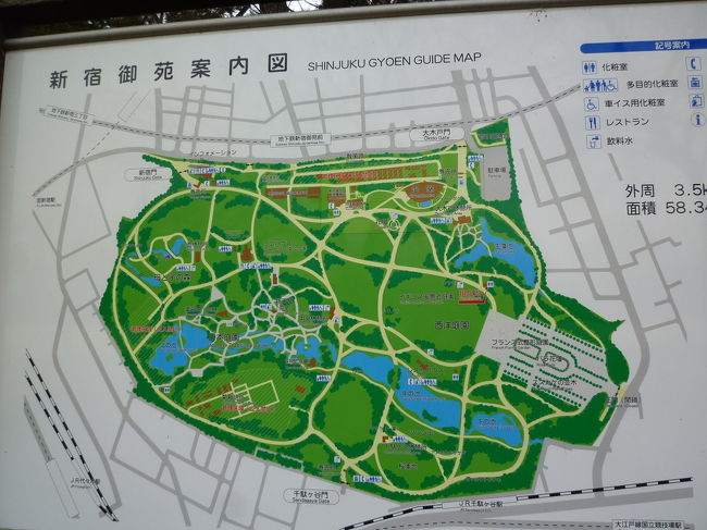 河津桜を求めて新宿御苑を散策 17 03 04 新宿 東京 の旅行記 ブログ By 台湾見聞録さん フォートラベル 河津桜を求めて新宿御苑を散策 17 03 04 新宿 東京 の旅行記 ブログ By 台湾見聞録さん フォートラベル
