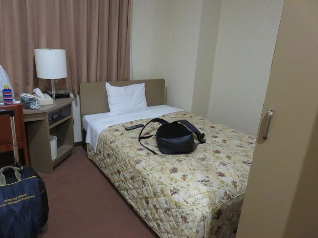 この日は千葉に宿泊。<br />次の日は千葉、茨城を観光します。<br />１２日目終了！