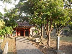 ぐるっと歩いてさっきの観音アヒルがいた円鑑池の近くまで戻ってきました。
こちらは、円覚寺跡です。
ちょっと日が差してて嬉しい。
