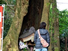 まずはいわゆる「日向薬師」さんに。
日向山　宝城坊　虚空蔵菩薩