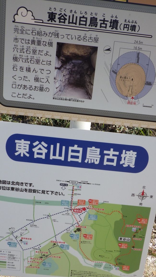 名古屋環状2号線 自転車