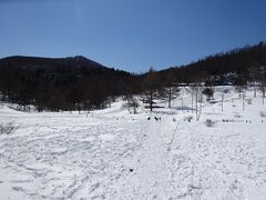 湿原は雪に埋もれていますが「入笠湿原」