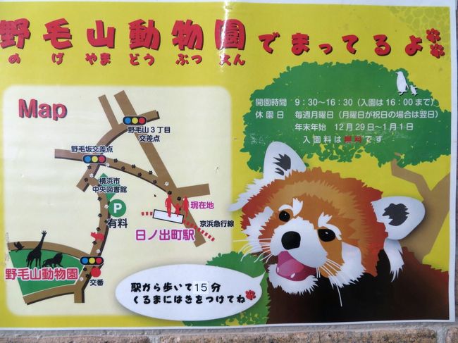 バレンタインのラブラブピークを過ぎてしまった新川崎と横浜のレッサーパンダ詣 2 野毛山動物園 前編 ミナミコアリクイは昼寝中 ツキノワグマは展示中止で残念だったけど ライオンのラージャーくんの可愛らしさを知る 横浜 神奈川県 の旅行記 ブログ By まみさん バレンタインのラブラブピークを過ぎてしまった新川崎と横浜のレッサーパンダ詣 2 野毛山動物園 前編 ミナミコアリクイは昼寝中 ツキノワグマは展示中止で残念だったけど ライオンのラージャーくんの可愛らしさを知る 横浜 神奈川県 の旅行記 ブログ By まみさん
