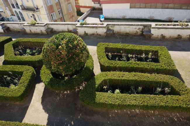 建物を出ると中庭に出れるのですが、ここはしょぼかった。<br />冬だから花が咲いてないていうのもあるけど、そもそも狭い。裏庭と言われてもおかしくない、大きさと配置でした。