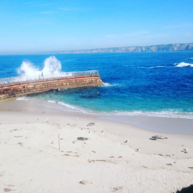 ラ・ホヤです。<br />先端まで行けますが、このときは波が高くてばしゃばしゃかかりました笑<br />でも先端まで行くと、アザラシをほんとに間近で見れましたよ～☺