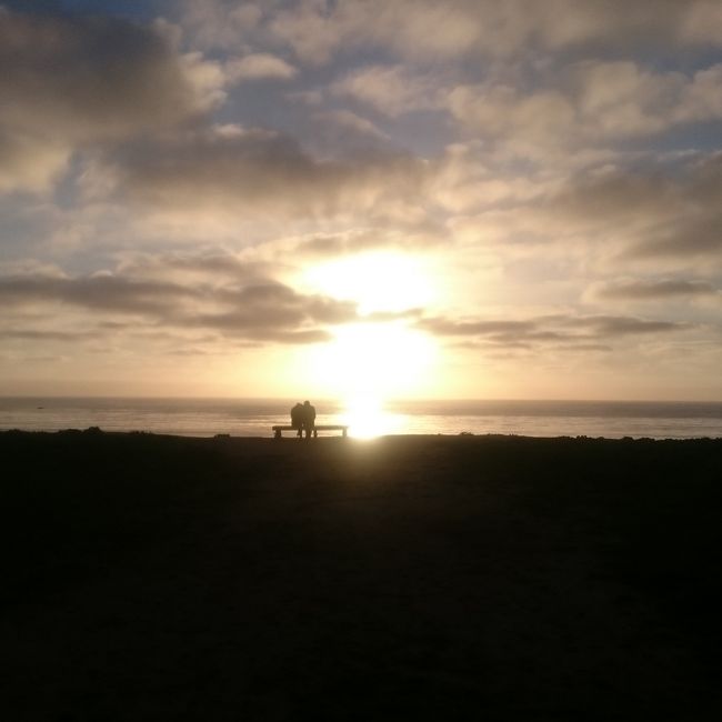 こちらはサンセットクリフです。<br />ほんとのクリフはこのベンチの下側ですが、怖くて行けませんでした😭😜<br />でもここから見る夕日もすごくキレイで感動しました！<br />サンディエゴまで行かれる方はぜひ行っていただきたいおすすめスポットです！