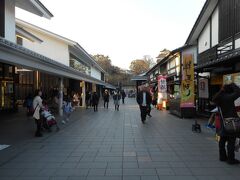 桜の馬場　桜の小路