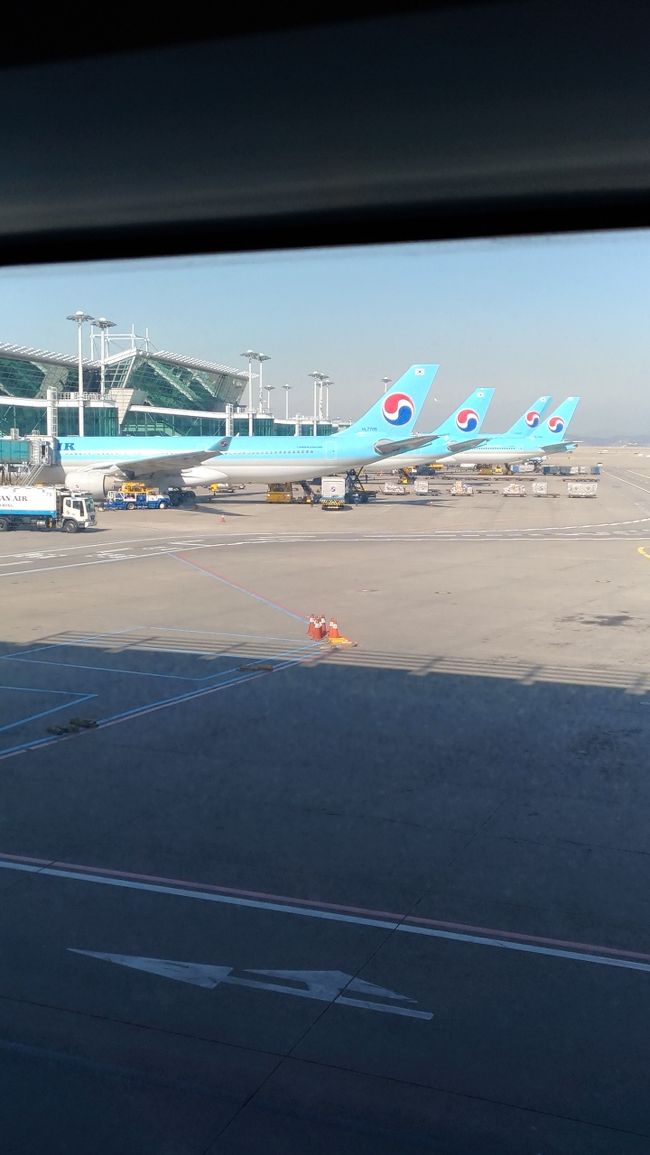 札幌の自宅を出たのがAM6：00。ビビりな夫、車で行くのが嫌だと言い張り、地下鉄、JRで空港へ。吹雪いていたからこの選択で正解。<br />AM8：40に出発しお昼過ぎに仁川空港へ。