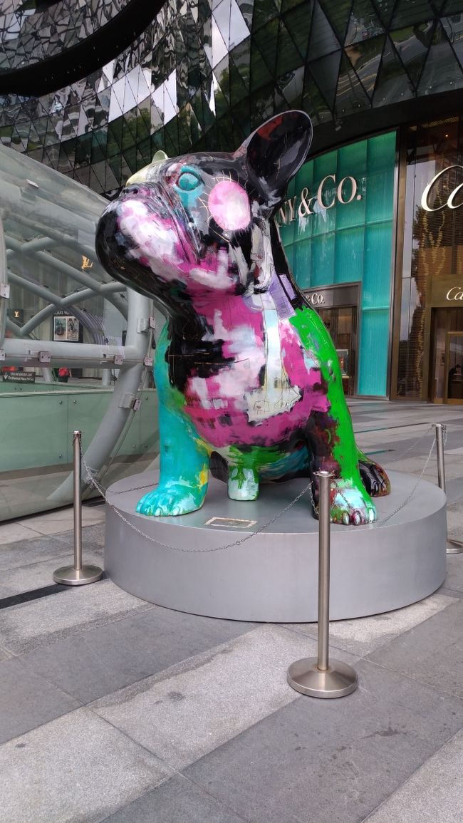 到着翌日はご近所散策オンリーでまったりDAY。<br />ホテルからオーチャードの交差点まで、徒歩10分かかりません。<br />凄く便利だけど、ホテルは静か。このバランス最高。<br />写真はIONの前に鎮座する番犬くん？