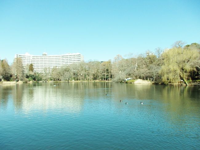 吉祥寺駅で妹と待ち合わせして、とことこと10分程歩いて到着です。<br />都会にこんな素敵な場所があるなんて！！！<br />まだ10時前とあって、あまり人も居なくて、静かです`*:;,．★ ～☆・:.,;*