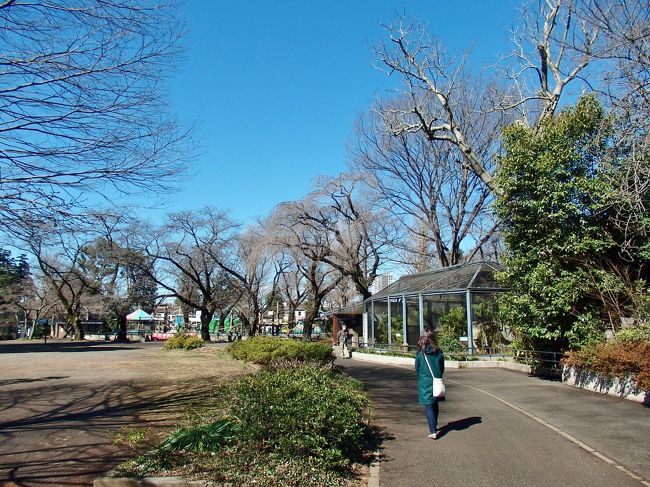 早々とリスの小屋に向かいます～♪