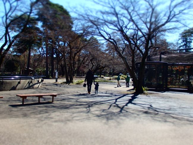 お散歩日和.。o○