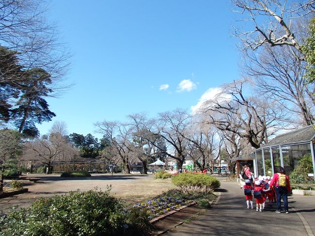 幼稚園の遠足～☆