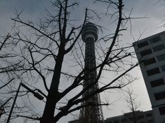 横浜のシンボル、マリンタワーです。
